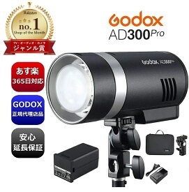 ＼日本正規代理店品 GODOX AD300pro／ 楽天ランキング1位 ジャンル賞受賞店舗 365日出荷手続き 発光テスト済 あす楽 延長サポート有 バッテリー付 PSE 1年保証 日本語説明書付き 照明 ライト AD300 Pro モノブロック ゴドックス