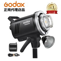 楽天市場】300w ストロボの通販