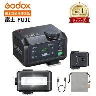 ◆マラソン特価 ◆＼正規代理店品 ジャンル賞受賞／Godox iT30Pro-F 日本語説明書入 ブラック シルバー …