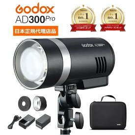＼GODOX AD300pro／ 楽天ランキング1位 ジャンル賞受賞店舗 365日出荷手続き 発光テスト済 あす楽 延長サポート有 バッテリー付 PSE 1年保証 日本語説明書付き 照明 ライト AD300 Pro モノブロック ゴドックス