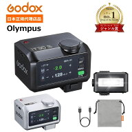 ◆マラソン特価 ◆＼正規代理店品 ジャンル賞受賞／Godox iT30Pro-O 日本語説明書入 タッチパネル搭載TTL…