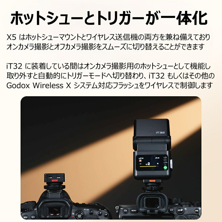 楽天市場】◇マラソン限定特価◇＼正規代理店品 ジャンル賞受賞 