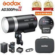 GODOX AD300proII Ver1.05 日本正規代理店品/ランキング1位/日本語説明書入/発光テスト済/延長サポート/3…