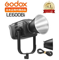 楽天市場】godox ledの通販