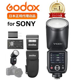 楽天市場】＼日本正規代理店品／Godox AC-26 AD800 AD600Pro 