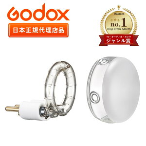 �_�W�������܎�ܓX�� ���{���K�㗝�X�i�^GODOX AD300Pro II AD300Pro �t���b�V���`���[�u �K���X�J�o�[�Z�b�g �S�h�b�N�X�@AD300ProII 119-AD3P2-100