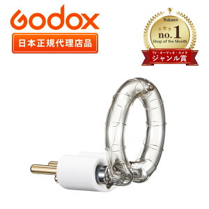 �_�W�������܎�ܓX�� ���{���K�㗝�X�i�^GODOX AD300Pro II�@AD300Pro �p �t���b�V���`���[�u �P�i �S�h�b�N�X�@AD300ProII