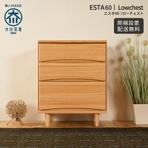 `FXg i 60cm 3i Ƌ [`FXg ؐ`FXg ^X  \y m^X [Ƌ rO[ m[ ؐ RpNg ؐ VR C Ƌ Vv i` 