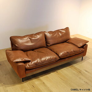 DINOSVN Vv 3l| Be[W \t@ J[L / uE TCY192.5×s8473cm [\t@[ U[ Ol| tFU[NbV ȒP c[}zɂĊJ