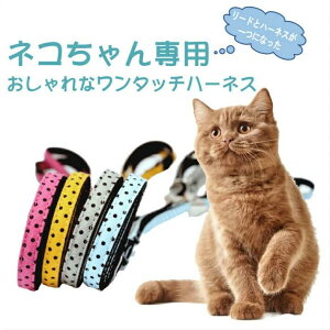 ݌Ɉ|Z[݌Ɍ L Lp n[lX[h Lp̌^ Un[lX Lpi ˂ [ht ł ybg Ln[lX xXg 킢 Ȃ _u ȒP U  o