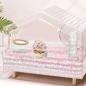 yXSiN[|ΏہznX^[ P[W  AN 傫 p P[W nEX gݗĊȒP ʋCQ  񂵎  oXTh t[h{E  ӂӂxbh 