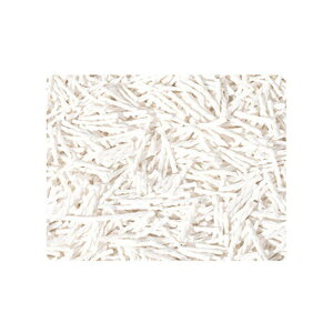 yXSiN[|Ώہz nX^[ p   VR L ~ pi zCg O[ CG[