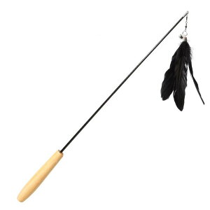 yXSiN[|ΏہzL  L炵 ˂炵 Lk Lbg lR Lpi tFU[ H Lт ނ t RpNg 킢  ӂӂ XgXU ^s