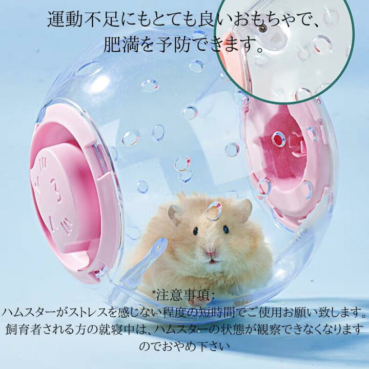 楽天市場】【店内全品クーポン対象】ハムスター 散歩 ボール ギフト 