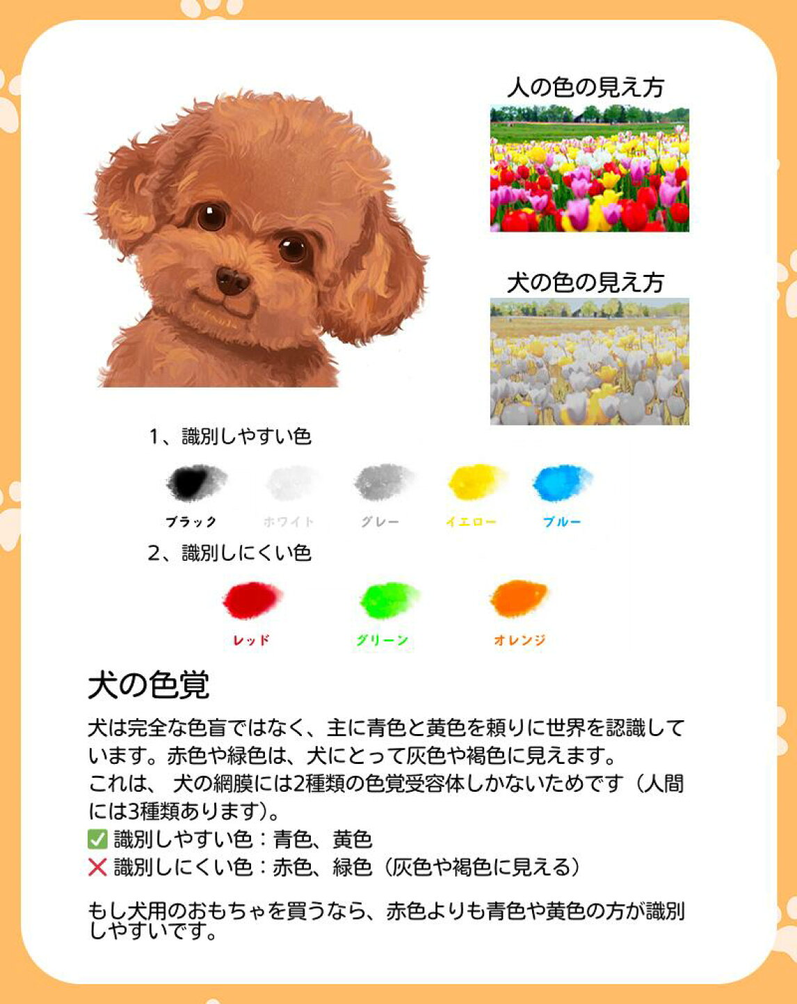 犬 色 の 識別