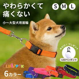 ★在庫一掃セール★【LEDライトおまけ付】在庫限り 犬用首輪 柔らかい素材 首にやさしい ネオプレン使用 小型犬 中型犬 大型犬対応 ソフトで軽量 丈夫 おしゃれ 可愛い カラフル 全6色 調節可能 散歩用 快適設計 ドッグカラー シンプルデザイン 犬用品 首輪 ソフトタイプ