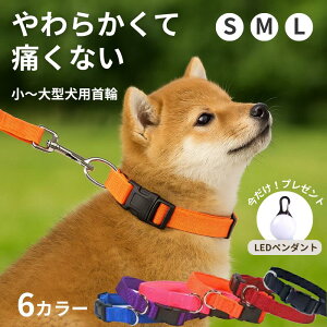 ݌Ɉ|Z[yLEDCg܂tz݌Ɍ p _炩f ɂ₳ lIvgp ^ ^ ^Ή \tgŌy v   Jt S6F 