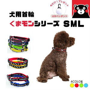 ݌Ɉ|Z[݌Ɍ598~`yLEDCg܂tz   ̎ ֌ J[ p hbO pi S/M/LTCY  ^ ȒPK Uł 킢 l