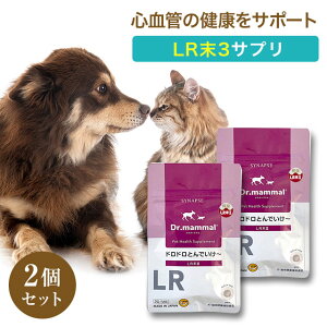 Dr}} hhƂł` Sǂ̌NT|[g Lp V VjAΉ Y Y ~~Yz S  t Nێ 20×2