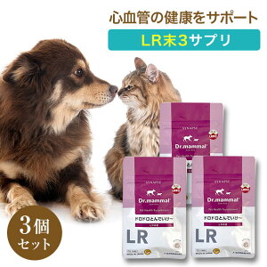  p Tv  SǃT|[g hhƂł` 20×3 Y Dr}} Tvg  V  VjA  L ybg LR3 ~~Y S t  N ybgTv