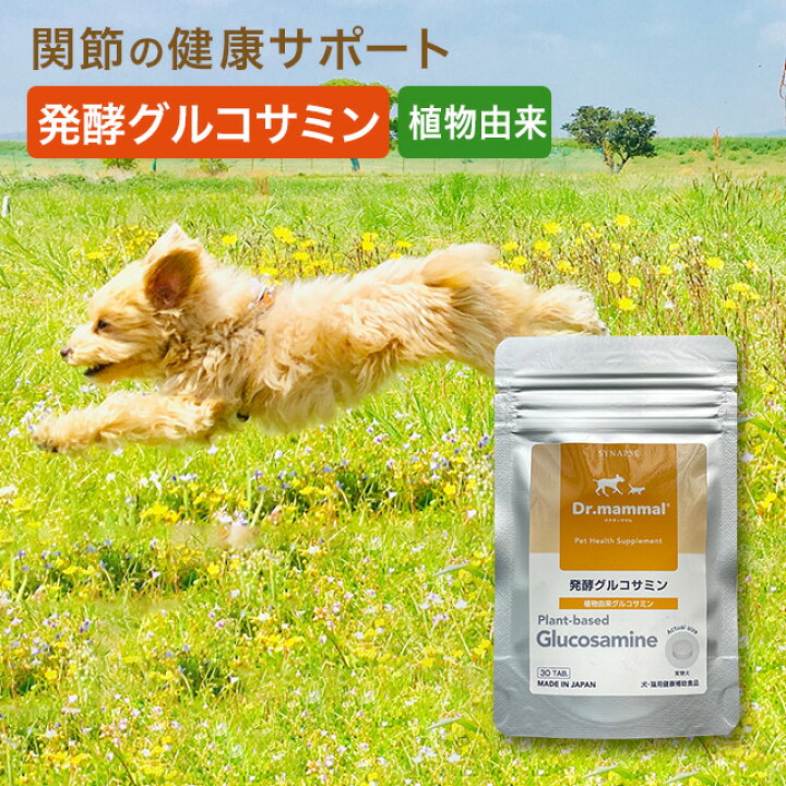 楽天市場】Dr.ママル 発酵 グルコサミン 30粒 送料無料 【 犬 関節 