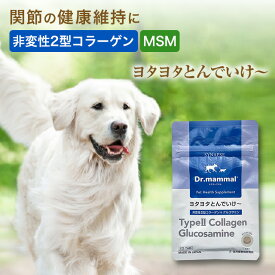 犬 犬用 サプリ 犬 関節サポート ヨタヨタとんでいけ〜 20粒入 国産 Drママル サプリメント 犬 老犬 高齢犬 シニア犬 いぬ 猫 ペット MSM 非変性2型コラーゲン グルコサミン 健康 ペットサプリ シナプス 【販売元直販】 送料無料