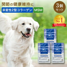 犬 関節サプリ 犬用 関節サポート ヨタヨタとんでいけ〜 20粒×3袋 国産 Drママル サプリメント 犬 老犬 高齢犬 シニア犬 いぬ 猫 ペット MSM 非変性2型コラーゲン グルコサミン 健康 ペットサプリ シナプス 【販売元直販】 送料無料
