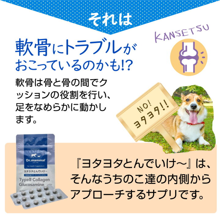 楽天市場 犬 関節 骨 サプリメント ヨタヨタとんでいけ 粒 犬猫 腰 ペットサプリ ペットサプリメント 2型コラーゲン グルコサミン Msm 犬用 猫用 サプリ シナプス 高齢 老犬 国産 Dr ママル シニア 送料無料 販売元直販 サプリと幹細胞コスメ専門シナプス