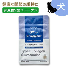 【スーパーSALE★P10倍】 ヨタヨタとんでいけ〜 20粒 送料無料 【 犬 関節 サプリメント 犬用サプリ 】ペット 犬 猫 骨 足腰 の 健康 サポート サプリ 老犬 シニア犬 高齢 の お散歩 健康維持に 国産 《 販売元直販 》 シナプス Dr.mammal