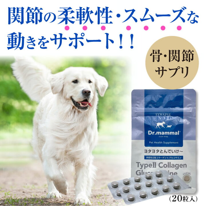 楽天市場 販売元直販 ペット 犬 関節 サプリメント ヨタヨタ とんでいけ お得な粒 3袋セット 送料無料 ペット用健康サプリ グルコサミン 骨 腰 関節ケア 大型犬 小型犬 高齢 老犬 国産 Dr ママル ドクターママル シリーズ サプリと幹細胞コスメ専門シナプス