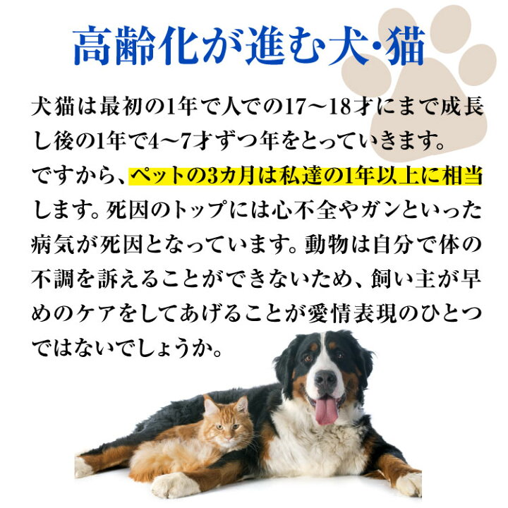 楽天市場 犬 関節 サプリメント ヨタヨタとんでいけ お得な粒 2袋 犬用 ペットサプリ 2型コラーゲン グルコサミン Msm サプリ シナプス 関節 骨 腰 大型犬 小型犬 高齢 老犬 国産 Dr ママル ドクターママル シニア 販売元直販 サプリと幹細胞コスメ