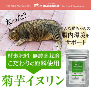 『Dr.ママルシリーズコラーゲン』【犬用/猫用健康補助食品】ペットサプリ