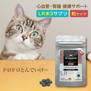 L t Tv S t NT|[ghhƂł` |Y  20 Y LR3 Dr}} Tvg VL L VjAL ˂  ybg ~~Y S t  Nێ 