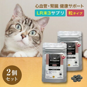 L t Tv L S t NT|[g hhƂł` |Y  20×2 Y LR3 ̏d4kgŖ1.5 Dr}} Tvg VL L VjAL ˂  ybg ~~Y