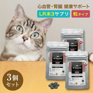 L Lp Tv S NT|[ghhƂł` |Y  20×3 Y LR3 ̏d4kgŖ2 Dr}} Tvg VL L VjAL ˂  ybg ~~Y N 