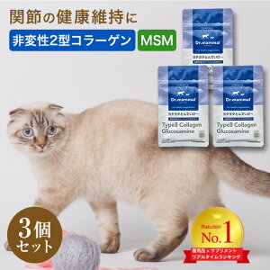 L Lp Tv L ֐߃T|[g ^^Ƃł` 20×3 Y Dr}} Tvg L VL L VjAL ˂  ybg MSM ϐ2^R[Q ORT~ N ybgT