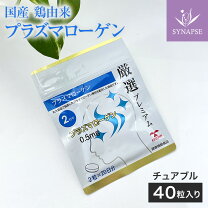 楽天市場】プラズマ ローゲン18000の通販
