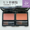 ヒト幹細胞 シェルマ SC チークカラー (レッド or オレンジ ) 送料無料 微粒子 パウダー 頬紅 フェイスカラー ブドウ種子油 ホホバオイル 潤い しっとり 乾燥肌 ヒト脂肪細胞順化培養エキス 幹細胞培養液 コスメ 化粧品 エンチーム 【正規販売店】