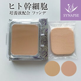 レフィル ヒト幹細胞 シェルマ SC パウダー ファンデーション (11g) 《 エンチーム 正規販売店 》 SPF32 / PA+++ ファンデ UV カバー力 しっとり 高保湿 美容液 幹細胞培養液 エンチーム 日本製 紫外線 日焼け止め 【送料無料】