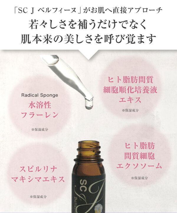 楽天市場】ヒト幹細胞 美容液 SCJ ベルフィーヌ (5mL) [ エンチーム 
