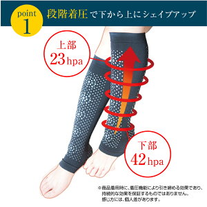 楽天市場 クーポンあり トルマリン ふくらはぎシェイパー ふくらはぎ 膝 冷え サポーター 着圧 着圧ソックス 遠赤外線効果 冷房対策 ふくらはぎサポーター 立ち仕事 在宅 パソコン 脚サポーター 足サポート 実用的 誕生日 プレゼント シナプス サプリと幹細胞 楽天市場 クーポンあり トルマリン ふくらはぎシェイパー ふくらはぎ 膝 冷え サポーター 着圧 着圧ソックス 遠赤外線効果 冷房対策 ふくらはぎサポーター 立ち仕事 在宅 パソコン 脚サポーター 足サポート 実用的 誕生日 プレゼント シナプス サプリと幹細胞