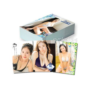 шVol.10~20th~Anniversary g[fBOJ[h@M[Rv81 ш 10 20N Ajo[T[ J[h gJ OrAACh Oh ^g oGeB OrA ACh  