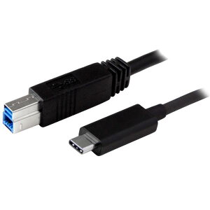 StarTech.com USB 3.1P[u 1m ubN ^CvB IX (9s) - Type-C/ USB-C IX (24s) o[VufUC USB 3.1 Gen 2 (10 Gbps)KiΉ USB31CB1M
