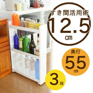 X}[gSFit 55-3i W  Lb` X [ bN  I bN [ XgbJ[ Tj^[ ʏ 