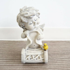  fBXvC 킢 GWF u IuWFB CeA CeAG AeB[N I[ig  K[f Mtg 蕨 v[g  hV̓