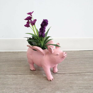  u u^GWF AWt[ fBXvC  킢 CeA IuWF CeAG AeB[N I[ig  K[f Mtg 蕨 v[g 