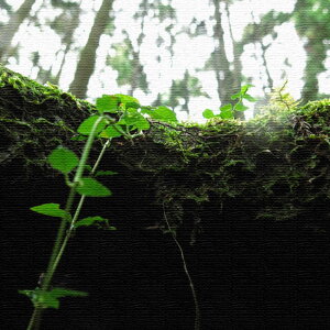 ɓMtgɕiʐ^̃t@ubNpl MTCYi30cm×30cmj EH[A[g Ǌ|  k _ Q ڎ CeA ͗lւ rO ǌ JXj ډB |X^[ 