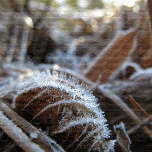 iʐ^̃t@ubNpl MTCYi30cm×30cmj EH[A[g Ǌ|  k _ Vzj JXj j   Q rO ڎ |X^[ CeA  