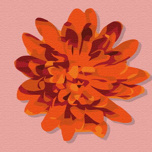 ԃ`[t̃t@ubNpl LTCYi57cm×57cmj EH[A[g Ǌ|  k _ Vzj JXj j   Q rO ڎ |X^[ CeA 