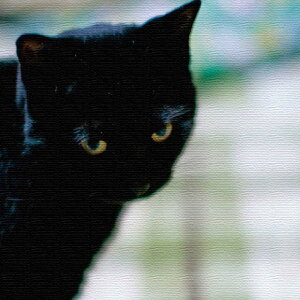 Ǌ|CeAȂt@ubNpl/L STCYi15cm×15cmj EH[A[g Ǌ|  k _ ͗lւ ڎ Q ډB CeA |X^[  JXj j V